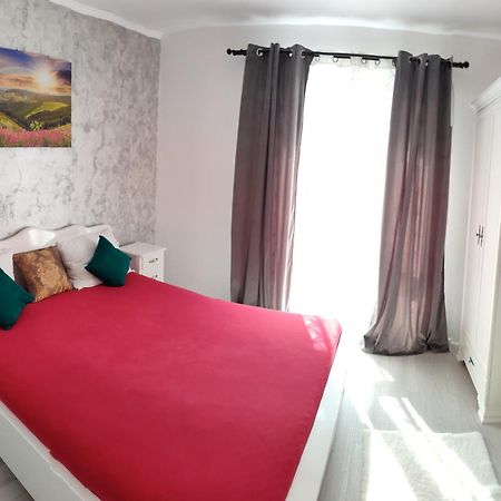 Apartament Gabriela Baia Mare Exterior photo